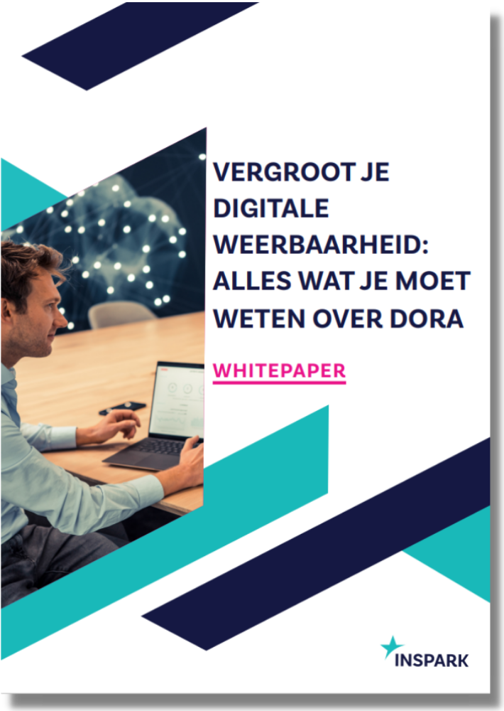 Whitepaper Vegroot je digitale weerbaarheud_ Alles wat je moet weten over Dora_transparante achtergrond